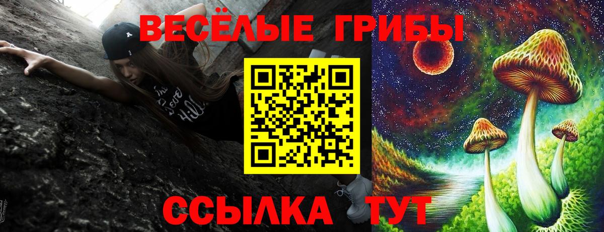 Псилоцибиновые грибы прущие грибы Будённовск