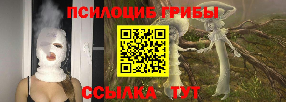 Галлюциногенные грибы Psilocybe  Галлюциногенные грибы Cubensis  Вход с VPN  Будённовск 