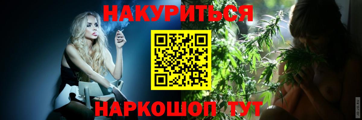 Бошки Шишки планчик Будённовск